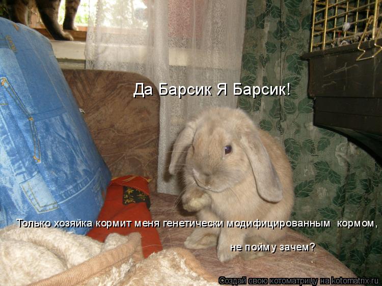 Да Барсик Я Барсик! Только хозяйка кормит меня генетически модифицированным кормом, не пойму зачем?... Котоматрица: Да Барсик Я Барсик! Только хозяйка кормит меня генетически модифицированным кормом, не пойму зачем?