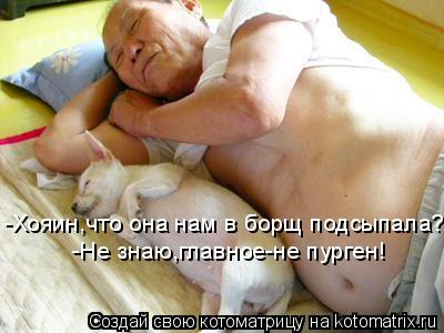 Котоматрица: -Хояин,что она нам в борщ подсыпала?  -Не знаю,главное-не пурген!