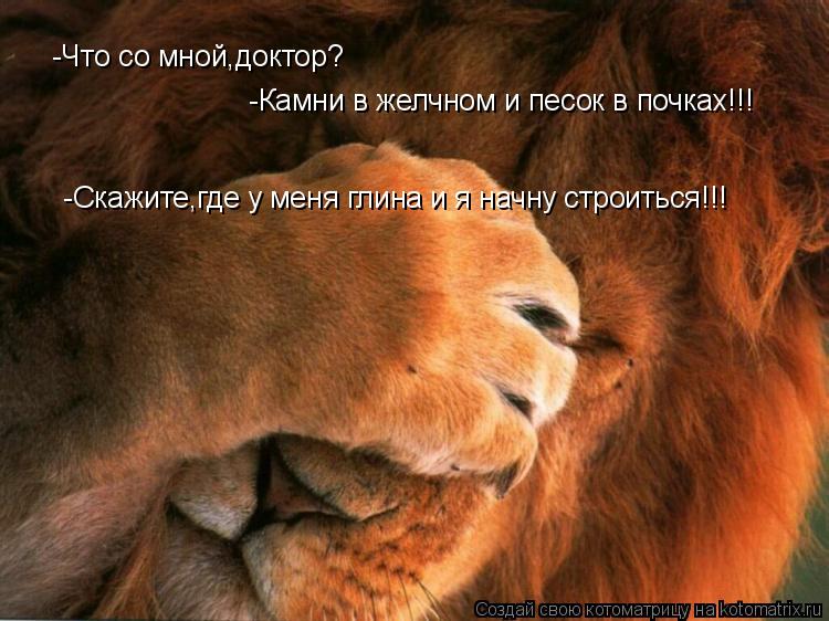 Котоматрица: -Что со мной,доктор?  -Камни в желчном и песок в почках!!!  -Скажите,где у меня глина и я начну строиться!!!