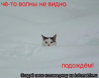 чё-то волны не видно подождём!... Котоматрица: чё-то волны не видно подождём!