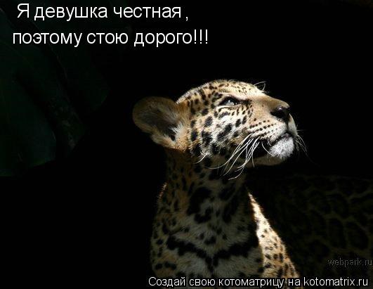 Котоматрица: Я девушка честная поэтому стою дорого!!! ,