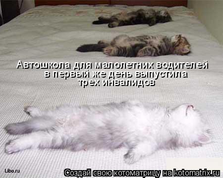 Автошкола для малолетних водителей в первый же день выпустила трех инвалидов... Котоматрица: Автошкола для малолетних водителей в первый же день выпустила трех инвалидов