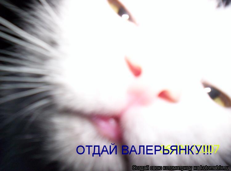 Котоматрица: ОТДАЙ ВАЛЕРЬЯНКУ!!!