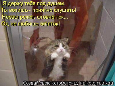Котоматрица: Я держу тебя под душем. Ты вопишь - приятно слушать! Нервы режет, словно ток... Ох, не любишь кипяток!