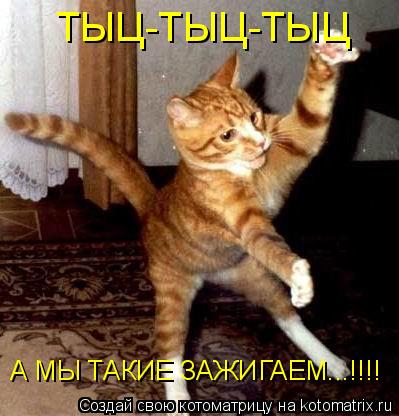 Котоматрица: ТЫЦ-ТЫЦ-ТЫЦ  А МЫ ТАКИЕ ЗАЖИГАЕМ...!!!!
