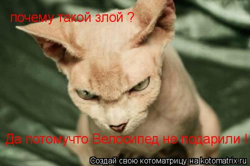 Котоматрица: почему такой злой ?  Да потомучто Велосипед не подарили !