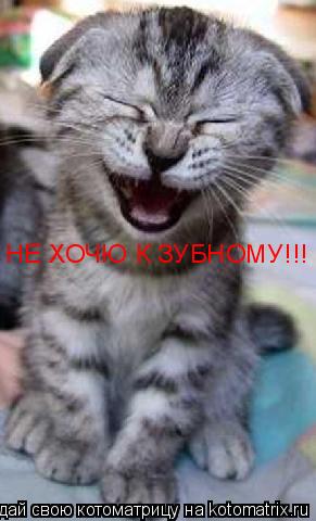 Котоматрица: НЕ ХОЧЮ К ЗУБНОМУ!!!