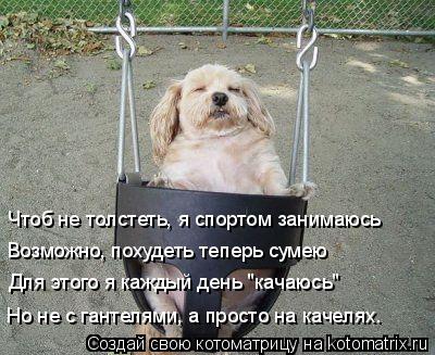 Чтоб не толстеть, я спортом занимаюсь Возможно, похудеть теперь сумею Для этого я каждый день "качаюс... Котоматрица: Чтоб не толстеть, я спортом занимаюсь Возможно, похудеть теперь сумею Для этого я каждый день "качаюсь" Но не с гантелями, а просто на качеля