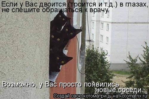 Если у Вас двоится (троится и т.д.) в глазах, не спешите обращаться к врачу. Возможно, у Вас просто ... Котоматрица: Если у Вас двоится (троится и т.д.) в глазах, не спешите обращаться к врачу. Возможно, у Вас просто появились новые соседи.