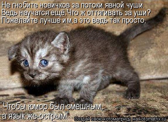 Котоматрица: Не гнобите новичков за потоки явной чуши. Ведь научатся ещё.Что ж оттягивать за уши? Пожелайте лучше им,а это ведь так просто, Чтобы юмор был 