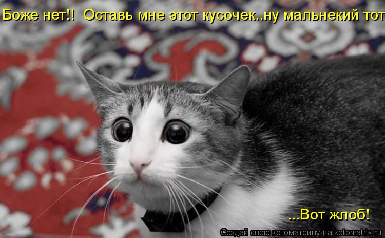 Котоматрица: Боже нет!!  Оставь мне этот кусочек..ну мальнекий тот! ...Вот жлоб!