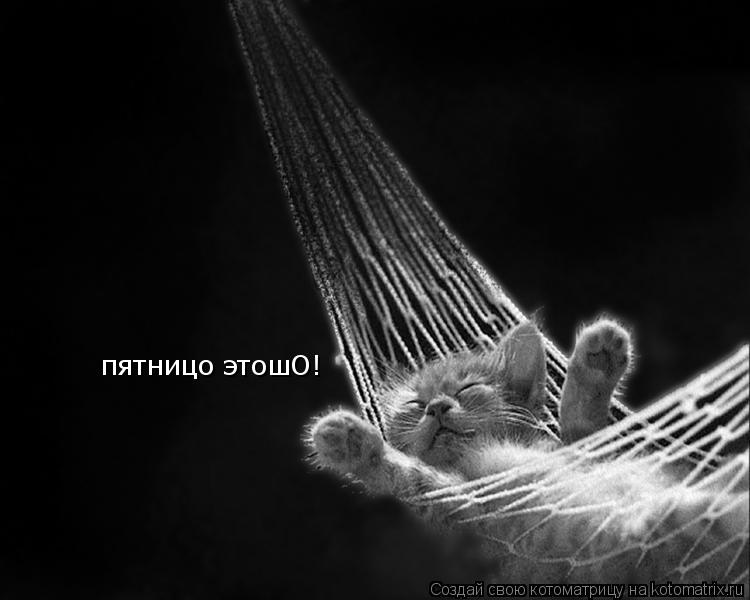 пятницо этошО!... Котоматрица: пятницо этошО!