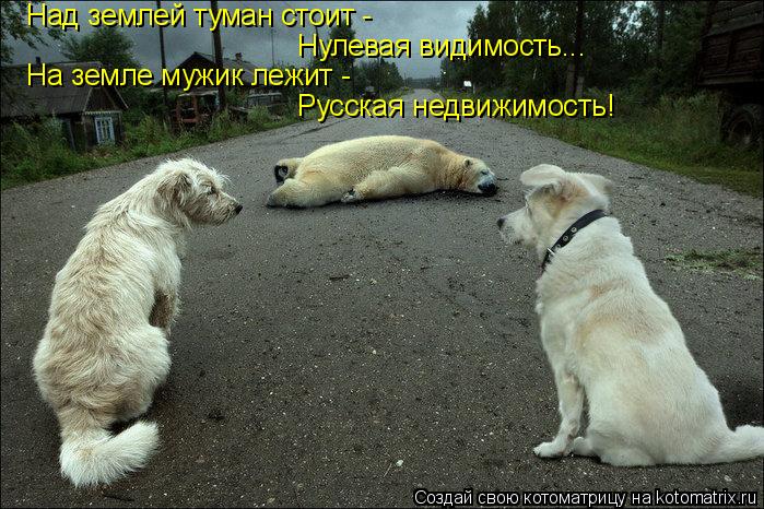 Над землей туман стоит - Нулевая видимость... На земле мужик лежит - Русская недвижимость!... Котоматрица: Над землей туман стоит - Нулевая видимость... На земле мужик лежит - Русская недвижимость!