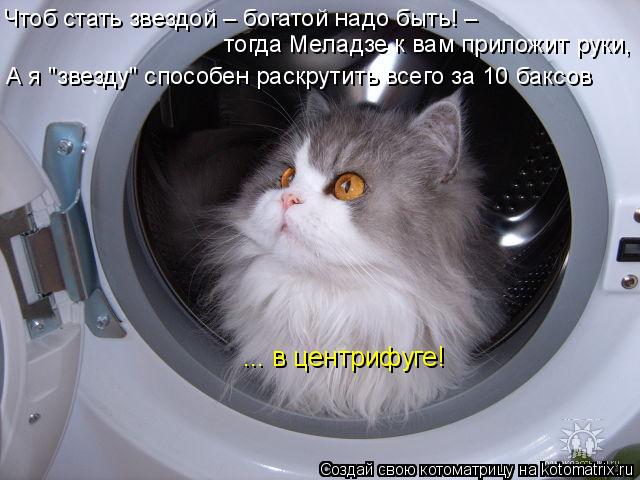 Чтоб стать звездой – богатой надо быть! – тогда Меладзе к вам приложит руки, А я "звезду"... Котоматрица: Чтоб стать звездой – богатой надо быть! – тогда Меладзе к вам приложит руки, А я "звезду" способен раскрутить всего за 10 баксов ... в цен
