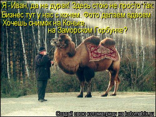 Котоматрица: Я -Иван, да не дурак! Здесь стою не просто так. Бизнес тут у нас с конем. Фото делаем вдвоем Хочешь снимок на Коньке,  на Заморском Горбунке?
