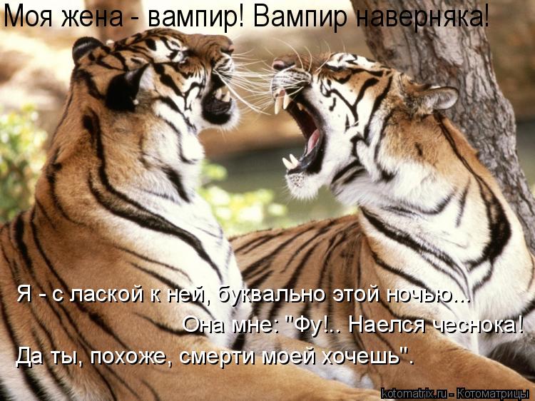Я - с лаской к ней, буквально этой ночью... Она мне: "Фу!.. Наелся чеснока! Да ты, похоже, смерти мо... Котоматрица: Я - с лаской к ней, буквально этой ночью... Она мне: "Фу!.. Наелся чеснока! Да ты, похоже, смерти моей хочешь". Моя жена - вампир! Вампир наверняка!