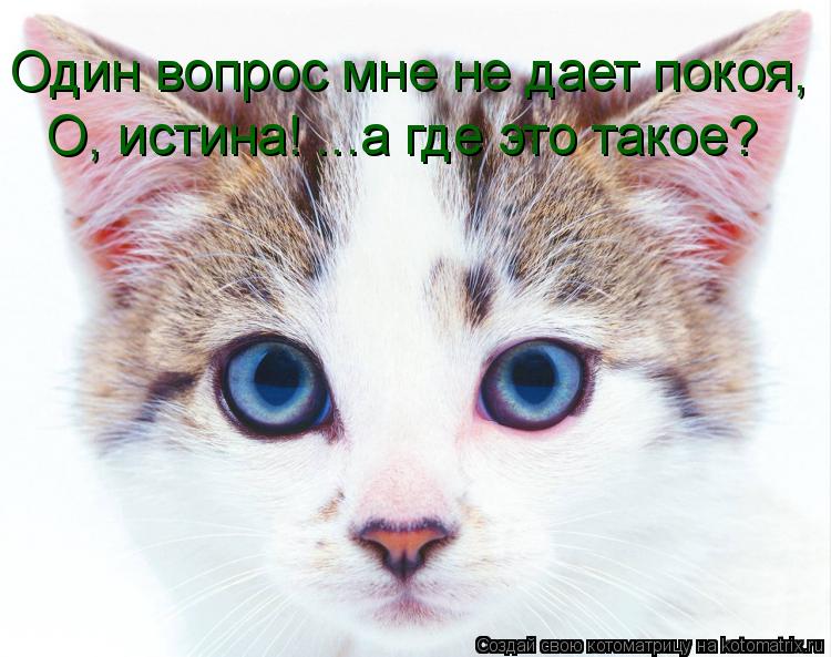 Котоматрица: Один вопрос мне не дает покоя, О, истина! ...а где это такое?