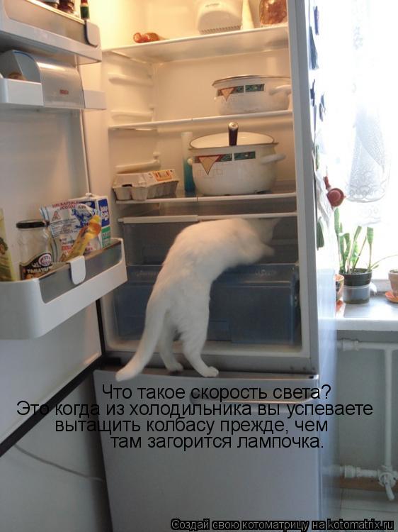Что такое скорость света? Это когда из холодильника вы успеваете вытащить колбасу прежде, чем там заг... Котоматрица: Что такое скорость света? Это когда из холодильника вы успеваете вытащить колбасу прежде, чем там загорится лампочка.