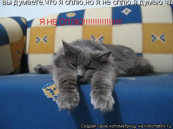 вы думаете,что я сплю,но я не сплю я думаю что это вы спите,но повторяю Я НЕ СПЛЮ!!!!!!!!!!!!!!!!!... Котоматрица: вы думаете,что я сплю,но я не сплю я думаю что это вы спите,но повторяю Я НЕ СПЛЮ!!!!!!!!!!!!!!!!!