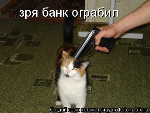 Котоматрица: зря банк ограбил