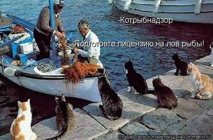 -Котрыбнадзор Подготовте лицензию на лов рыбы!... Котоматрица: -Котрыбнадзор Подготовте лицензию на лов рыбы!