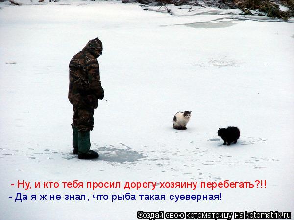 Котоматрица: - Ну, и кто тебя просил дорогу хозяину перебегать?!! - Да я ж не знал, что рыба такая суеверная!
