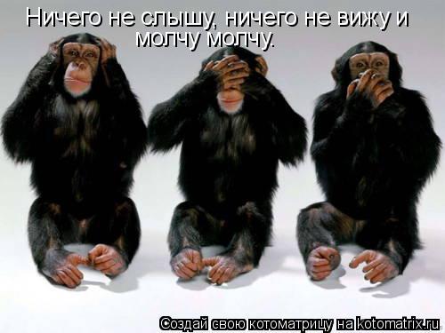 Ничего не слышу, ничего не вижу и молчу молчу.... Котоматрица: Ничего не слышу, ничего не вижу и молчу молчу.