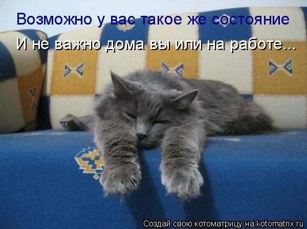 Котоматрица: Возможно у вас такое же состояние И не важно дома вы или на работе...
