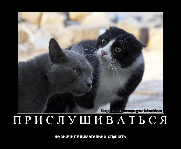 Прислушиваться не значит внимательно слушать... Котоматрица: Прислушиваться не значит внимательно слушать