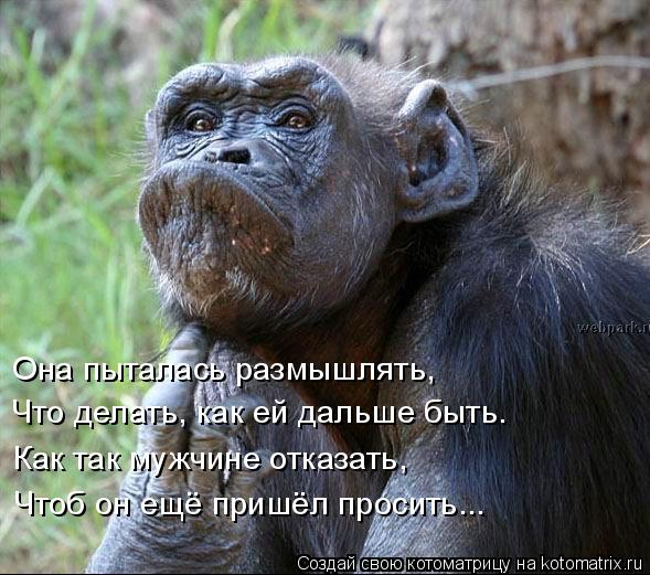 Она пыталась размышлять, Что делать, как ей дальше быть. Как так мужчине отказать, Чтоб он ещё пришёл... Котоматрица: Она пыталась размышлять, Что делать, как ей дальше быть. Как так мужчине отказать, Чтоб он ещё пришёл просить...