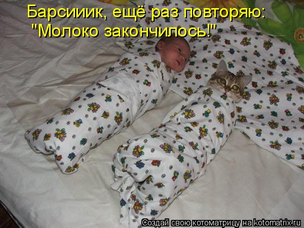 Котоматрица: Барсииик, ещё раз повторяю: "Молоко закончилось!"