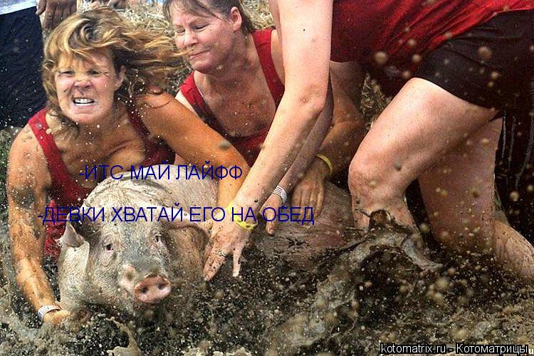 Котоматрица: -ИТС МАЙ ЛАЙФФ -ДЕВКИ ХВАТАЙ ЕГО НА ОБЕД