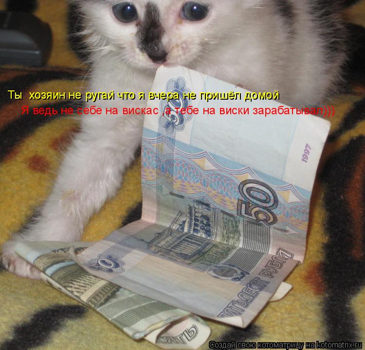 Котоматрица: Ты  хозяин не ругай что я вчера не пришёл домой Ты  хозяин не ругай что я вчера не пришёл домой Я ведь не себе на вискас ,а тебе на виски зараба
