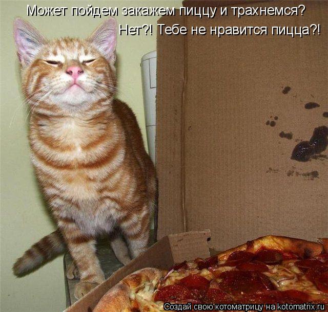 Котоматрица: Может пойдем закажем пиццу и трахнемся? Hет?! Тебе не нравится пицца?!