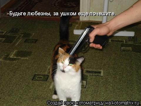 Котоматрица: -Будьте любезны, за ушком еще почешите.