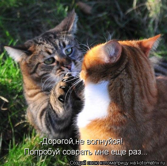 -Дорогой,не волнуйся! Попробуй соврать мне еще раз...... Котоматрица: -Дорогой,не волнуйся! Попробуй соврать мне еще раз...