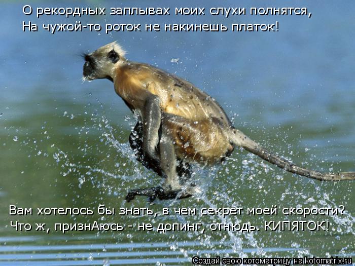 Котоматрица: О рекордных заплывах моих слухи полнятся, На чужой-то роток не накинешь платок! Вам хотелось бы знать, в чем секрет моей скорости? Что ж, приз