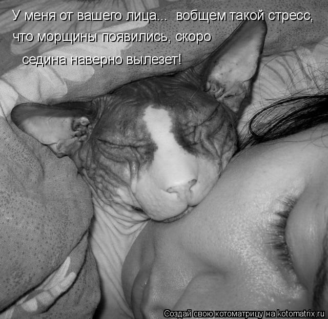 Котоматрица: У меня от вашего лица...  вобщем такой стресс, что морщины появились, скоро  седина наверно вылезет!
