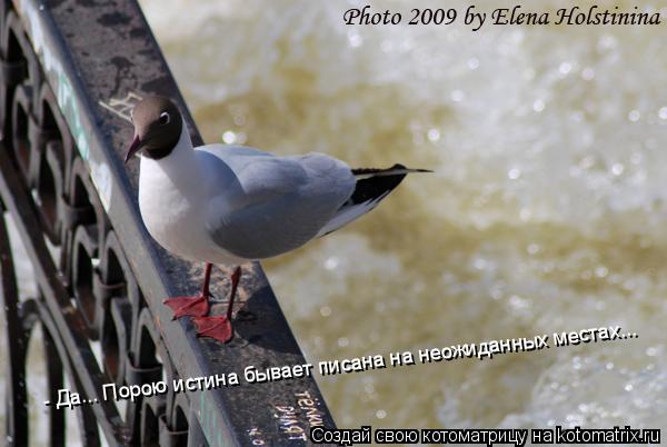 Котоматрица: Порою истина бывает писана на неожиданных местах... - Да... Порою истина бывает писана на неожиданных местах...