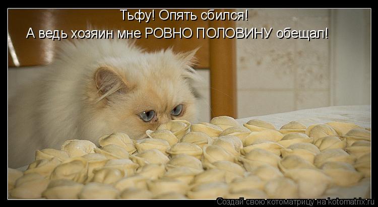Котоматрица: А ведь хозяин мне РОВНО ПОЛОВИНУ обещал! Тьфу! Опять сбился!