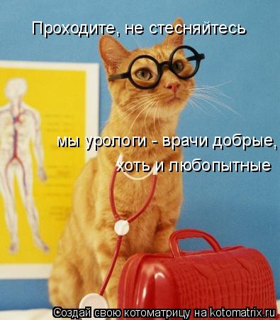 Котоматрица: Проходите, не стесняйтесь  мы урологи - врачи добрые   хоть и любопытные ,