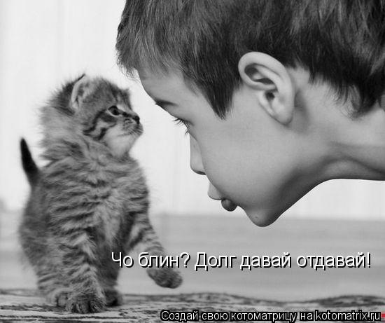Чо блин? Долг давай отдавай!... Котоматрица: Чо блин? Долг давай отдавай!