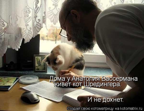 Котоматрица: Дома у Анатолия Вассермана  живет кот Шредингера.  И не дохнет.