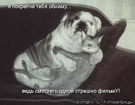 Котоматрица: я покрепче тебя обниму... ведь смотреть одной страшно фильмУ!