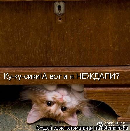 Котоматрица: Ку-ку-сики!А вот и я НЕЖДАЛИ?