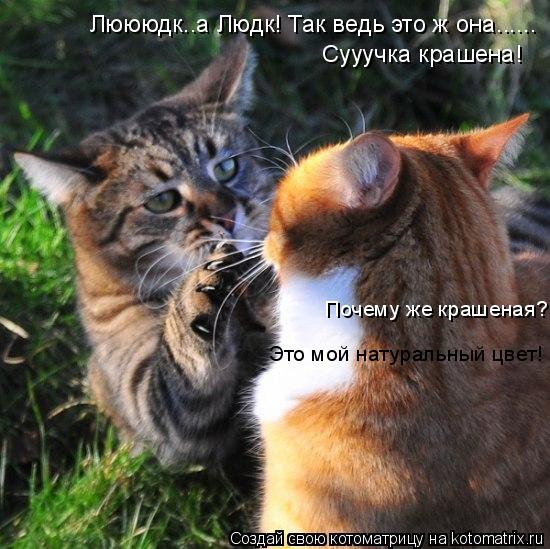 Люююдк..а Людк! Так ведь это ж она...... Сууучка крашена! Почему же крашеная? Это мой натуральный цв... Котоматрица: Люююдк..а Людк! Так ведь это ж она...... Сууучка крашена! Почему же крашеная? Это мой натуральный цвет!