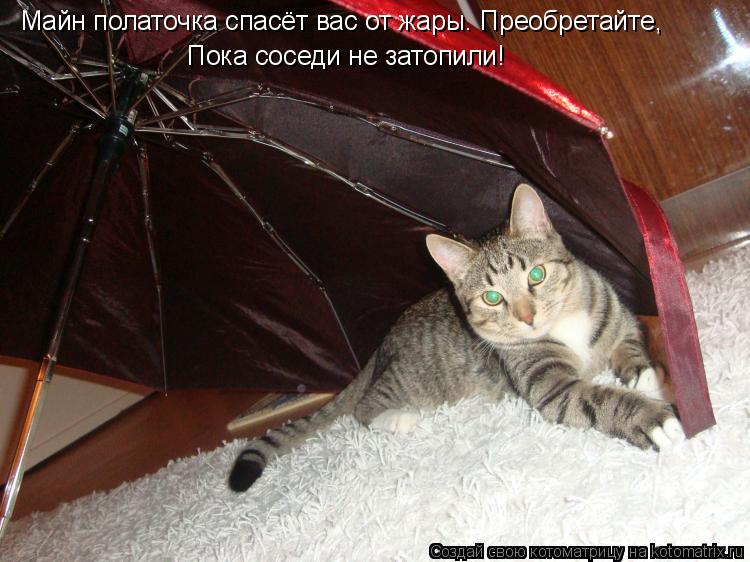 Котоматрица: Майн полаточка спасёт вас от жары. Преобретайте, Пока соседи не затопили!