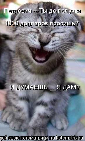 Котоматрица: 1000 долларов просишь? 1000 долларов просишь? Петрович ---Ты до получки  Петрович ---Ты до получки  И ДУМАЕШЬ __Я ДАМ?