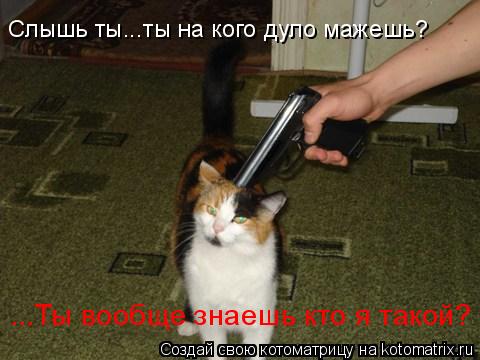 Котоматрица: Слышь ты...ты на кого дуло мажешь? ...Ты вообще знаешь кто я такой?