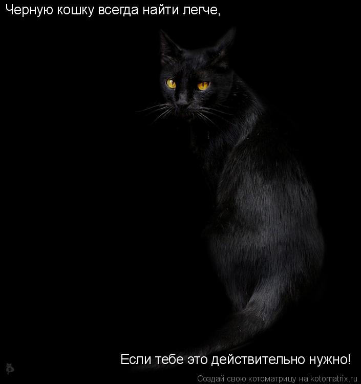 Котоматрица: Черную кошку всегда найти легче, Если тебе это действительно нужно!
